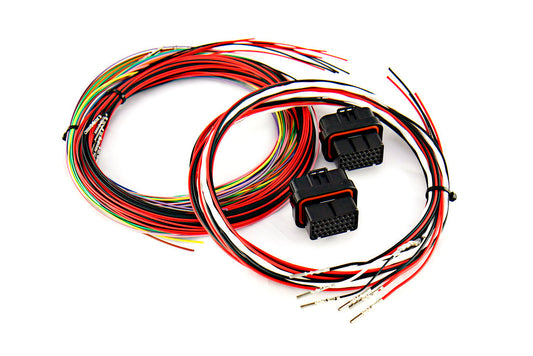 S80/S100 Spliced Loom Kit